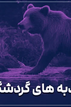 10 تا از جاذبه های گردشگری کانادا